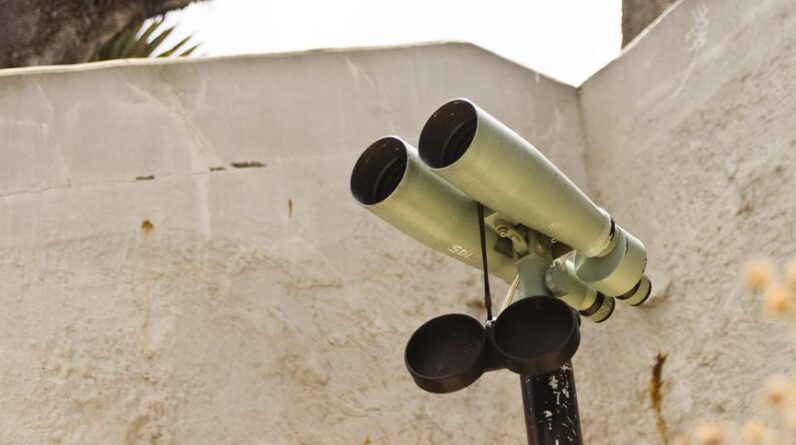 binoculars for nature observation